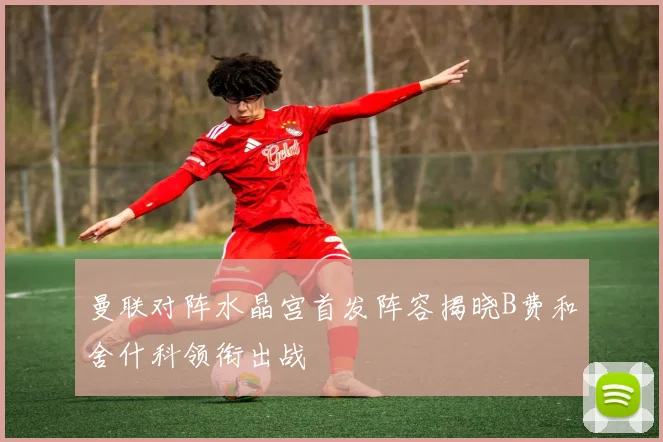 曼联对阵水晶宫首发阵容揭晓B费和舍什科领衔出战