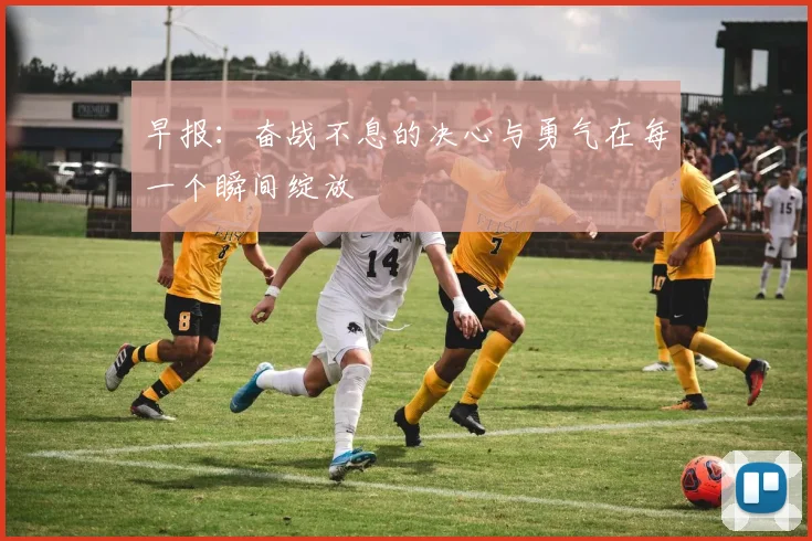早报：奋战不息的决心与勇气在每一个瞬间绽放