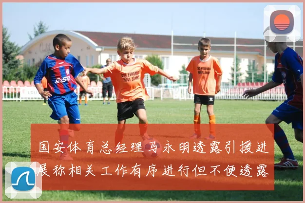 国安体育总经理马永明透露引援进展称相关工作有序进行但不便透露名字